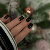 салон красоты zebra nails & beauty во фрунзенском районе изображение 2